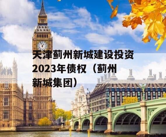 天津蓟州新城建设投资2023年债权（蓟州新城集团）