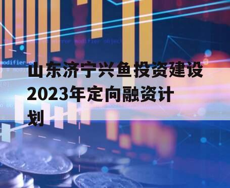 山东济宁兴鱼投资建设2023年定向融资计划