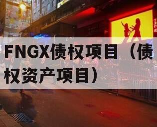 FNGX债权项目（债权资产项目）