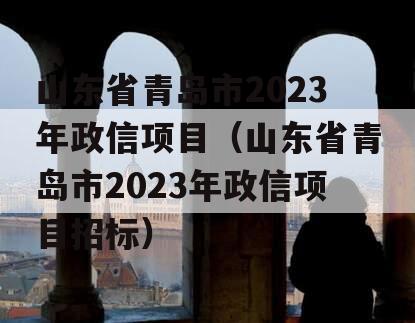 山东省青岛市2023年政信项目（山东省青岛市2023年政信项目招标）