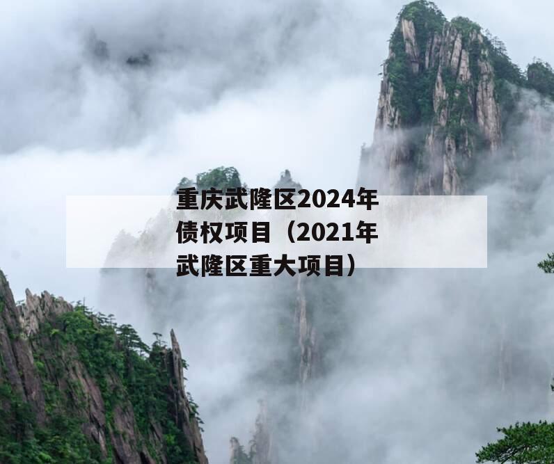 重庆武隆区2024年债权项目（2021年武隆区重大项目）