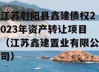 江苏射阳县鑫建债权2023年资产转让项目（江苏鑫建置业有限公司）