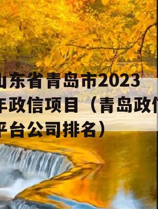 山东省青岛市2023年政信项目（青岛政信平台公司排名）