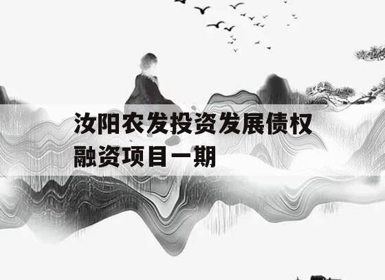 汝阳农发投资发展债权融资项目一期