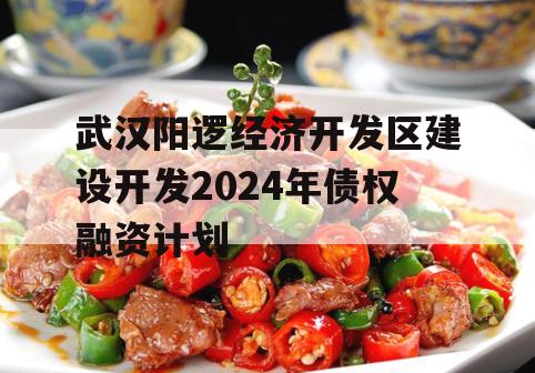 武汉阳逻经济开发区建设开发2024年债权融资计划