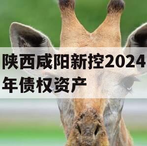 陕西咸阳新控2024年债权资产