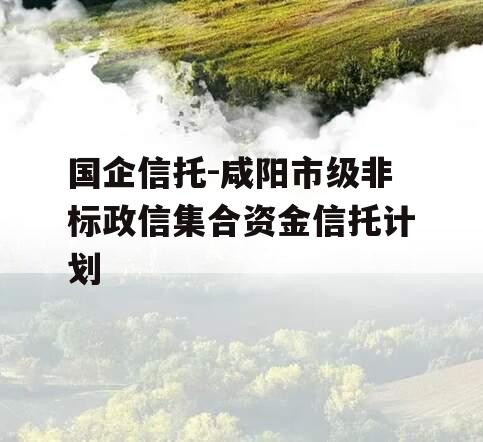 国企信托-咸阳市级非标政信集合资金信托计划