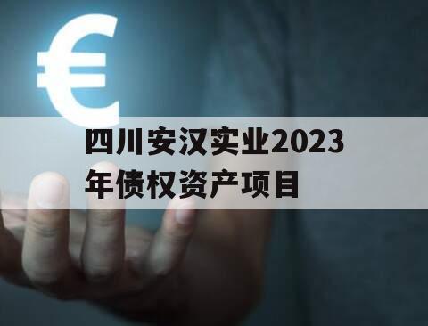 四川安汉实业2023年债权资产项目