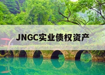 JNGC实业债权资产