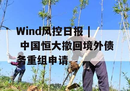 Wind风控日报 | 中国恒大撤回境外债务重组申请