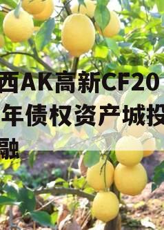 陕西AK高新CF2024年债权资产城投债定融